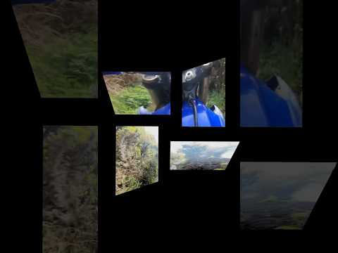 Few more clips