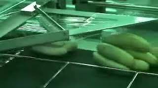 Side Sealer and Shrink Tunnel | Ascent Packaging Systems