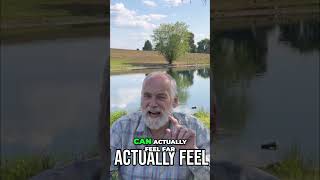 Audio Learning - The Key to Bible Study! #dyslexia #biblestudy #audiolearning #godsword #bibleaudio