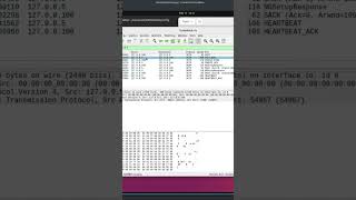 how #SCTP #association is established #wireshark #networking #5g #shorts #shorttutorials