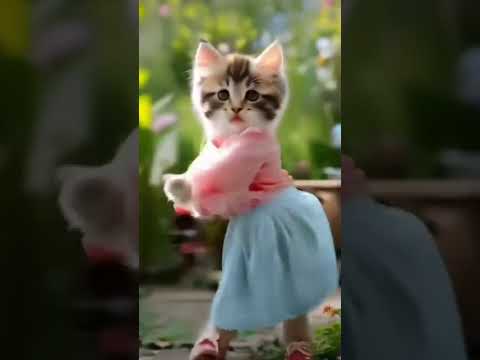 let's see my cat is very happy for dancing. #catdance #catshorts #subscribe viral short...😹