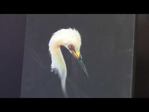 Gary Jenkins Paints an Egret