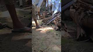 Smart technique for splitting wood with simple tools with precise results #shorts