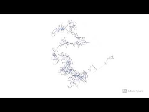 Week4 PI walk