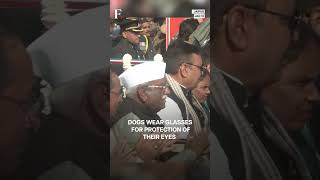 Indian Army Dogs March With Sunglasses At 78th Army Day Parade In Jaipur | N18G