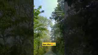 Beauty of our Bihar!🙂😍 #shortsfeed #bihar #naturelovers #biharvillagelife #shortsbreak