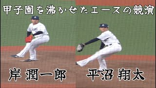 岸 潤一郎＆平沼翔太選手ピッチング【甲子園を沸かせたエースの競演】