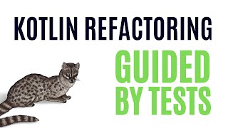 What does it mean to be Guided by Tests?