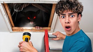 There's Something LIVING in our Attic