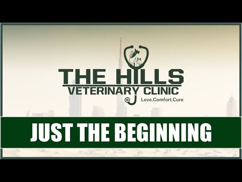 The Hills Veterinary Clinic - Just the Beginning