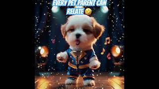 Every #pet parent can relate to this🫣🫶#petproblems #funny 🐾