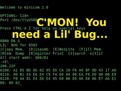 Debugging (and assembly!) on the unexpanded PAL-1 or microKIM