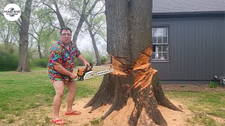 Idiots With Chainsaws: Tree Cutting Fails | Extreme Dangerous Logging Truck Fails #22