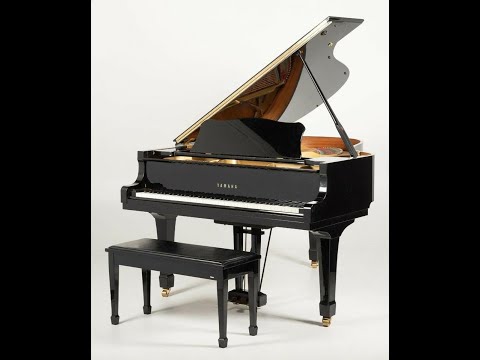 Piano Model video