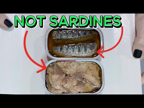 BLINDSIDED by Canned Mackerel!  King Oscar and Bela comparison.