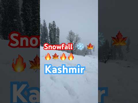 Kashmir snowfall ❄️ #shorts #viral #trending #travel #asmr