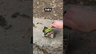 DIY Waterproof Fire Starter - Does it actually work? #testinghacks #survivalhacks