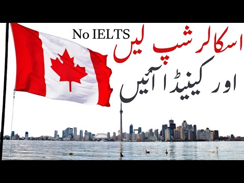 Tips and Tricks to hunt Canada Scholarship| PhD | Master | BS Hons| کینیڈا سے اسکالرشپ کیسے لیں