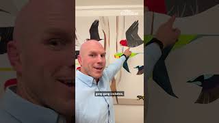 David Pocock backs the gang gang cockatoo for Bird of the Year 2025