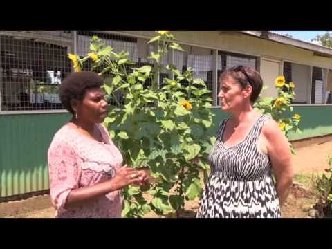 READ PNG: 2. Reading assessment for all learners