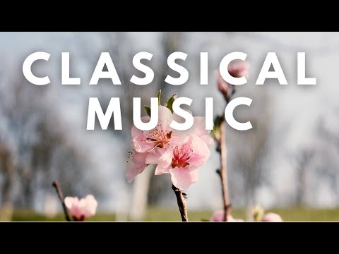 Classical Ballroom Music | Smooth & Sophisticated Background Tunes