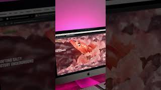 Turning scrolls into stories. 🖥️📽️ #WebAnimation