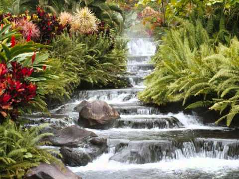 Garden of Eden