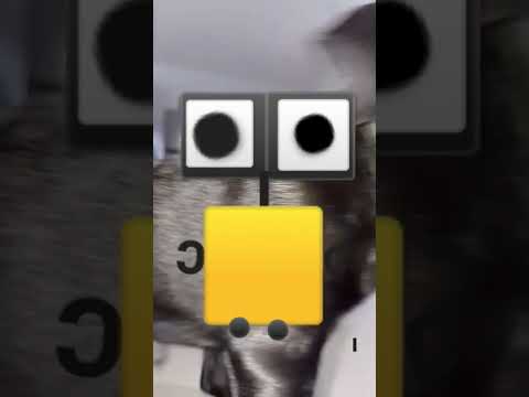 walle