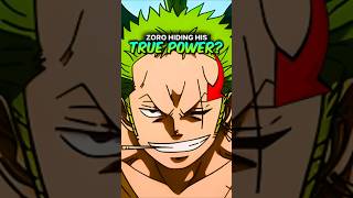 Zoro Hide His True Power?
