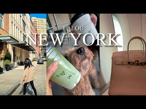 NYC Vlog | last week in NYC | NYC life as a dog mom | I quit my nyc corporate job after 8 years