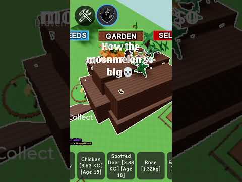 𝕤𝕒𝕞𝕡𝕖 𝕟𝕦𝕥𝕦𝕡𝕚𝕟 𝕜𝕖𝕓𝕦𝕟 𝕠𝕣𝕒𝕟𝕘 bjr🗿