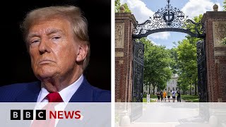 US President Trump blocks Harvard from enrolling foreign students | BBC News