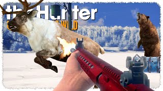 I Set Up GAME FEEDERS on Medved (the bears went crazy) | theHunter: Call of the Wild