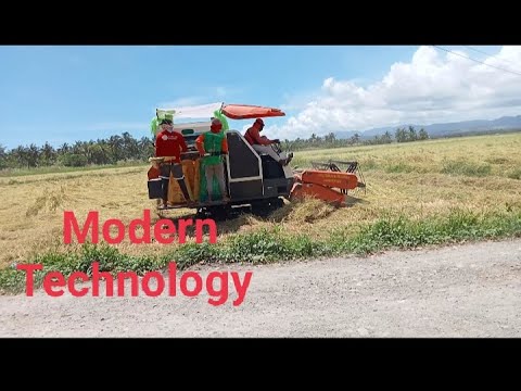 Amazing Rice Harvester #newtechnology