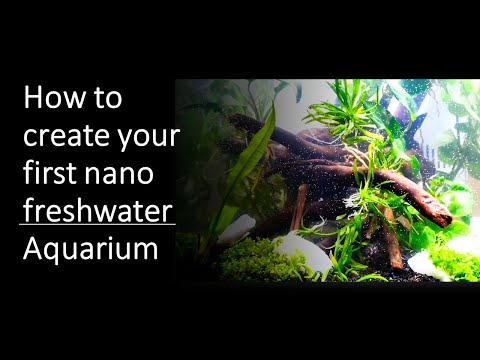 How to create your first freshwater nano aquarium tank