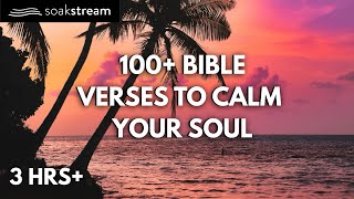 100+ Bible Verses To Calm Your Soul
