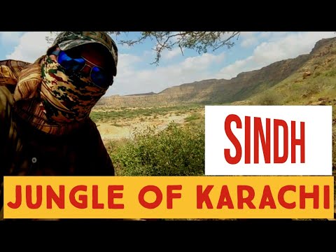 Untold story of pench safari jungles | exploring karachi jungles #pakistan  @karachiwalapakistani