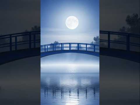 yoga nidra #sonyyogatutorial  #deep sleep #meditation