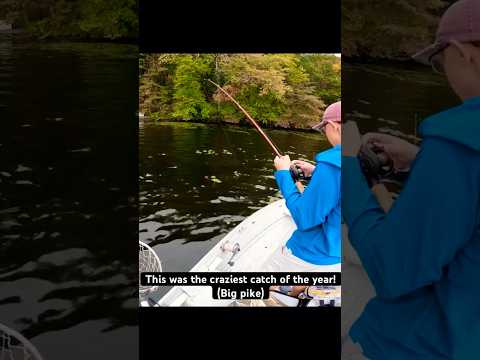 Big Pike On The Whopper Plopper! #fishing #shorts #youtube #whopperplopper #trending #yt #topwater