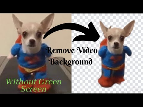 Remove / Change Video Background without Green Screen || Unscreen ||