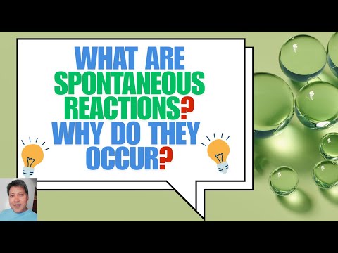 What Are Spontaneous Reactions? Why do they occur?