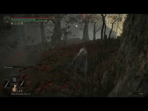 Elden Ring Malenia