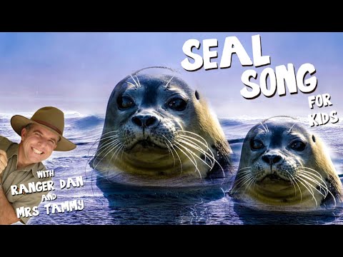 SEAL SONG FOR KIDS | Arctic Animal Songs | Animal Songs | Kids Songs | Creation Connection