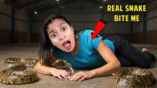 Wild Challenge Gone Wrong! | Real Footage Inside