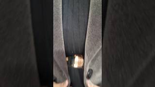 Winter wear coat#cort look #shots #trending #viral #YouTube shorts video