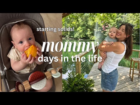 realistic MOM LIFE: starting solids, house renovations, new furniture, 6-month baby updates
