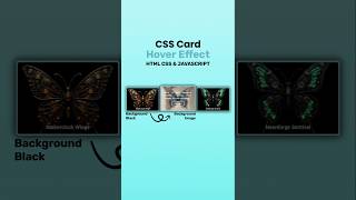 CSS Card Hover Effects  Html Css Javascript | CodeHub Santanu #shorts
