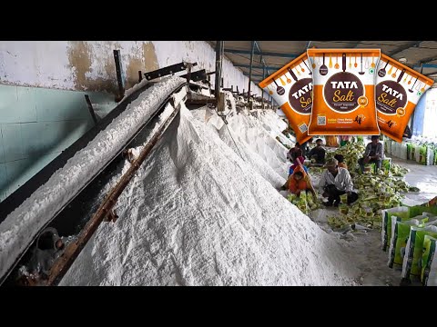 देखिए फैक्ट्री में नमक कैसे बनता है | How salt is made in factory | Salt making process | Wanted TV