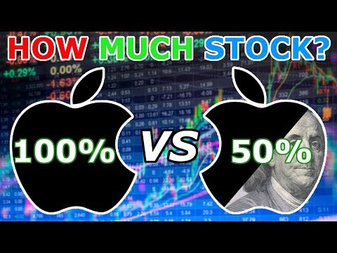 Should You Be 100% in Stocks??