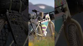 THE SURLY BRIDGE CLUB IS SO ADAPTABLE!